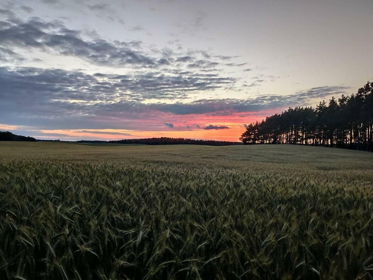 Stawy U Sikory - Dom Rybak - Agroturystyka I Lowisko Nowa Wies (Miedzyrzecz) Exterior foto