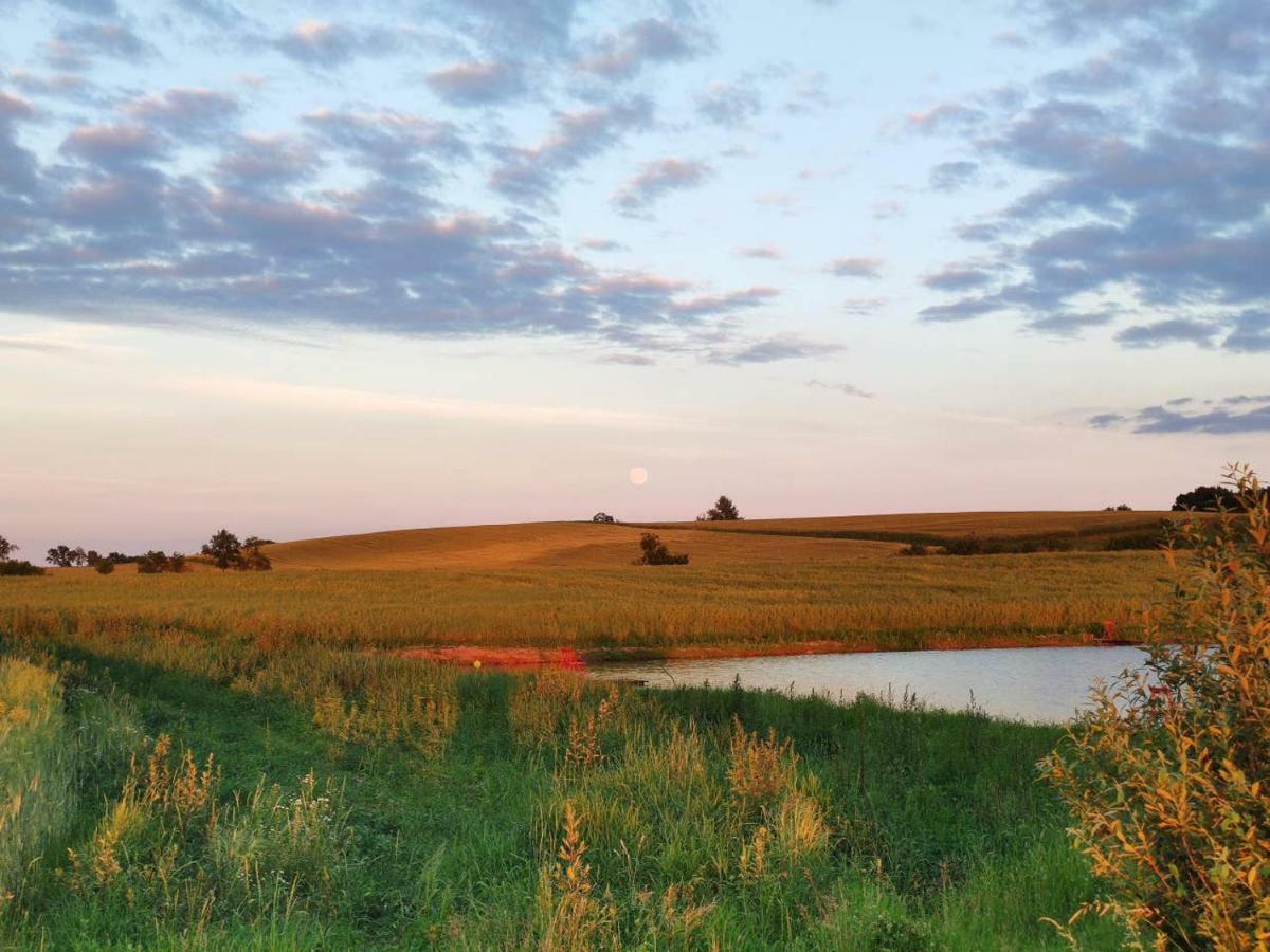Stawy U Sikory - Dom Rybak - Agroturystyka I Lowisko Nowa Wies (Miedzyrzecz) Exterior foto
