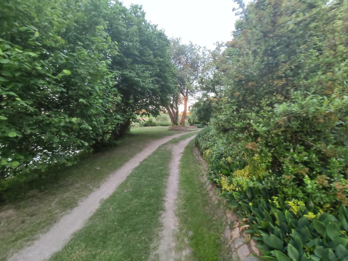 Stawy U Sikory - Dom Rybak - Agroturystyka I Lowisko Nowa Wies (Miedzyrzecz) Exterior foto